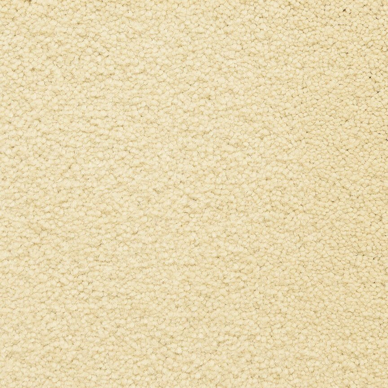 Worldwide Flooring Design Center CAPTIVATING CAPTIVATING Masland Floors