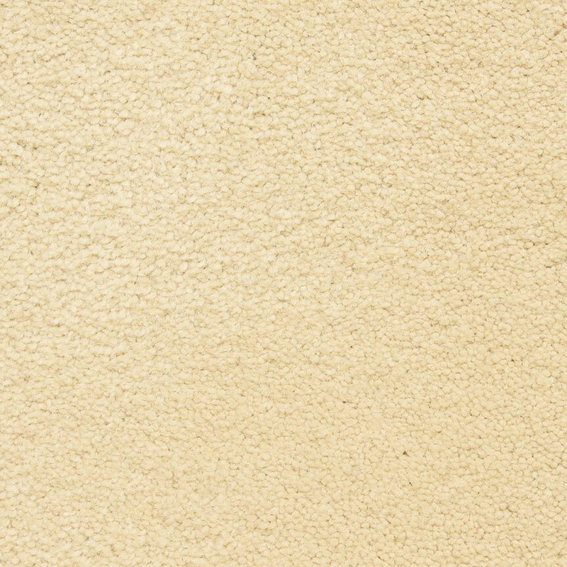 Worldwide Flooring Design Center CAPTIVATING CAPTIVATING Masland Floors