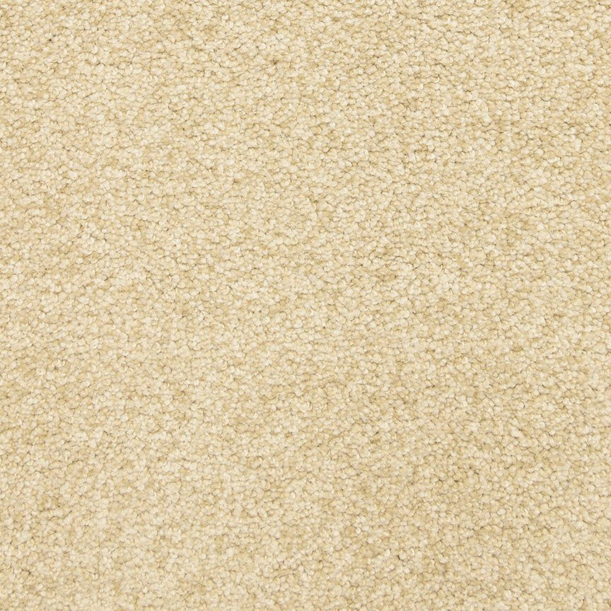 Worldwide Flooring Design Center ARRAY ARRAY Masland Floors