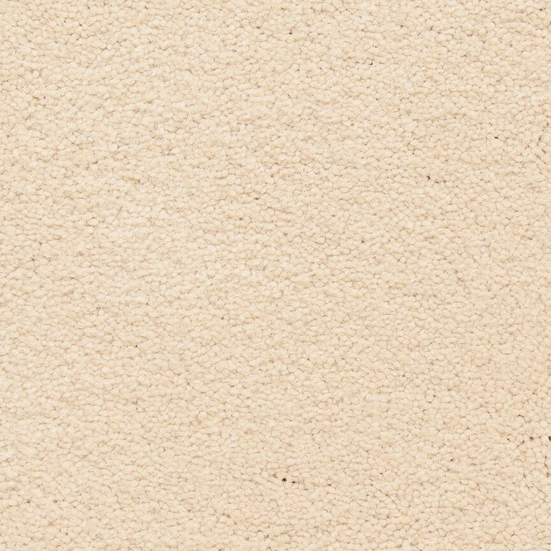 Worldwide Flooring Design Center CAPTIVATING CAPTIVATING Masland Floors