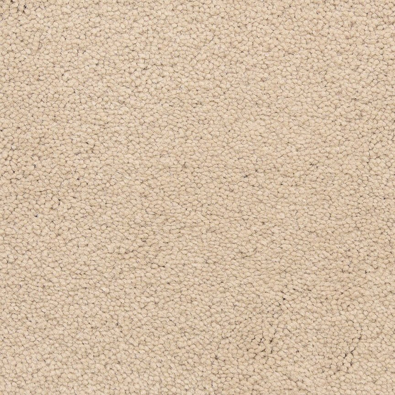 Worldwide Flooring Design Center CAPTIVATING CAPTIVATING Masland Floors