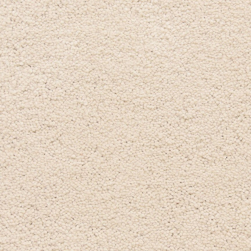 Worldwide Flooring Design Center CAPTIVATING CAPTIVATING Masland Floors