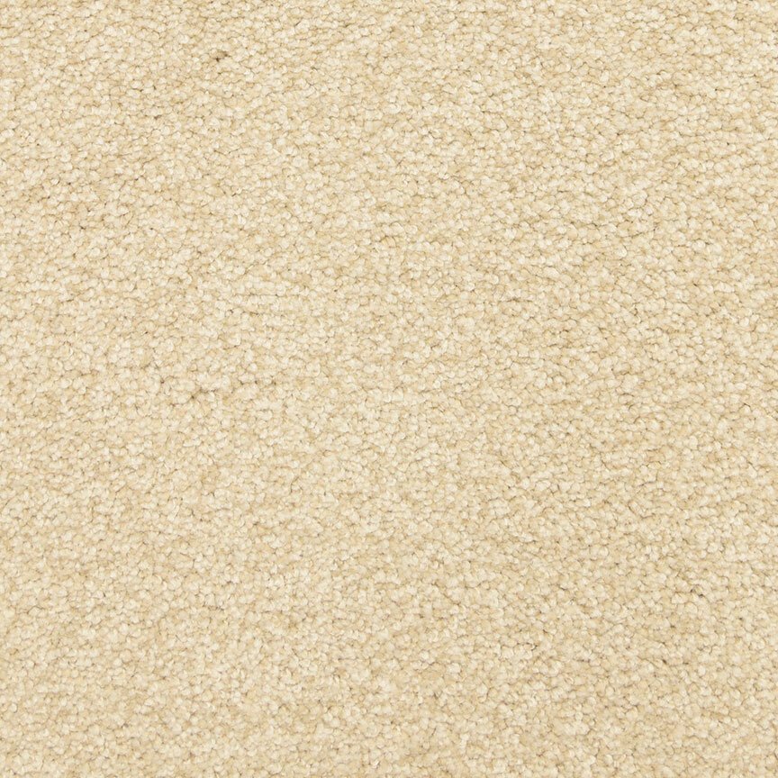Worldwide Flooring Design Center ARRAY ARRAY Masland Floors