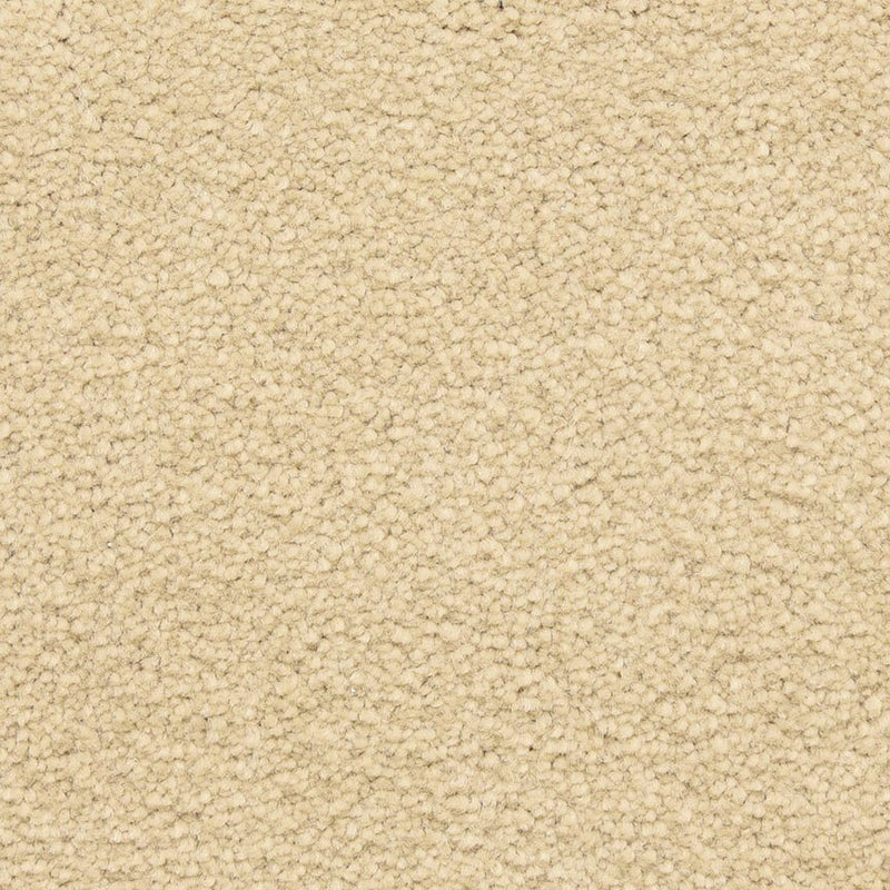 Worldwide Flooring Design Center CAPTIVATING CAPTIVATING Masland Floors