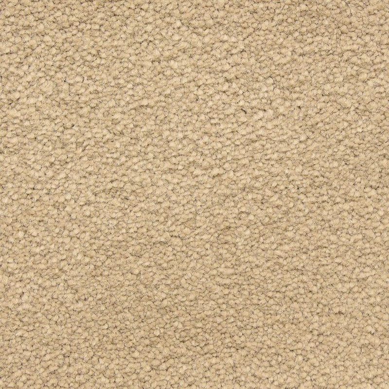 Worldwide Flooring Design Center CAPTIVATING CAPTIVATING Masland Floors