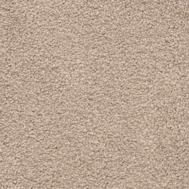 Worldwide Flooring Design Center CAPTIVATING CAPTIVATING Masland Floors