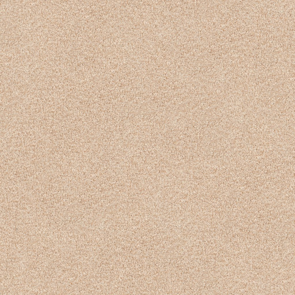 Worldwide Flooring Design Center ARGENTINA ARGENTINA Masland Floors