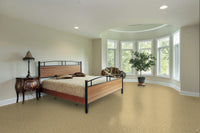 Worldwide Flooring Design Center CIVITAN CIVITAN Masland Floors