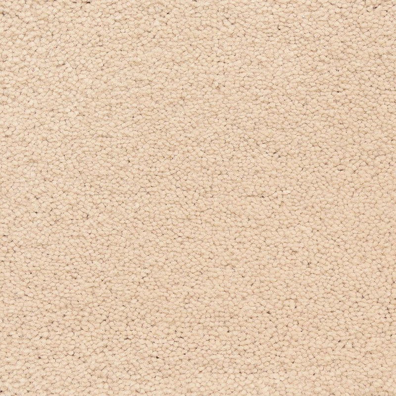 Worldwide Flooring Design Center CAPTIVATING CAPTIVATING Masland Floors