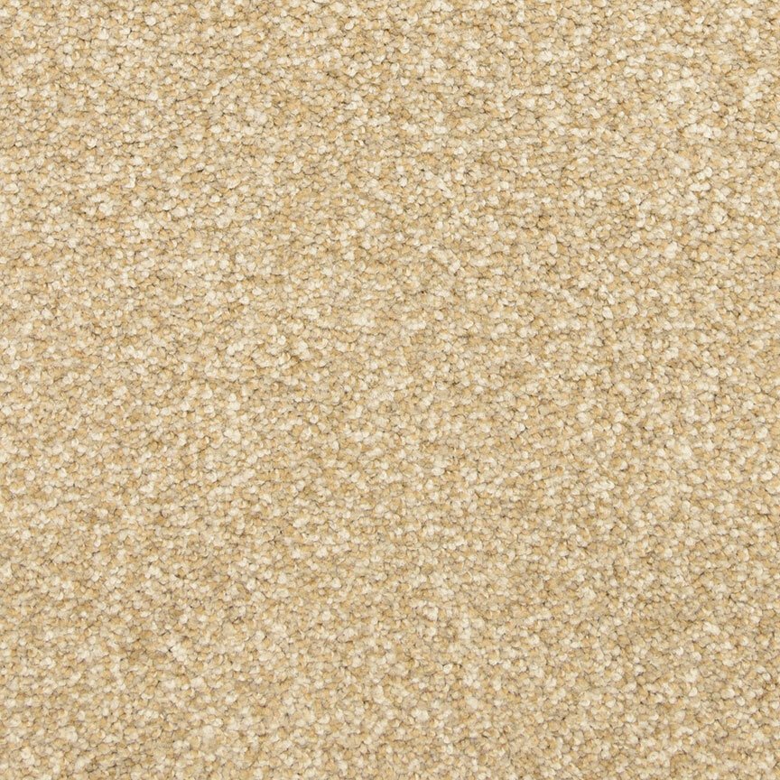 Worldwide Flooring Design Center ARRAY ARRAY Masland Floors