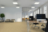 Worldwide Flooring Design Center CIVITAN CIVITAN Masland Floors