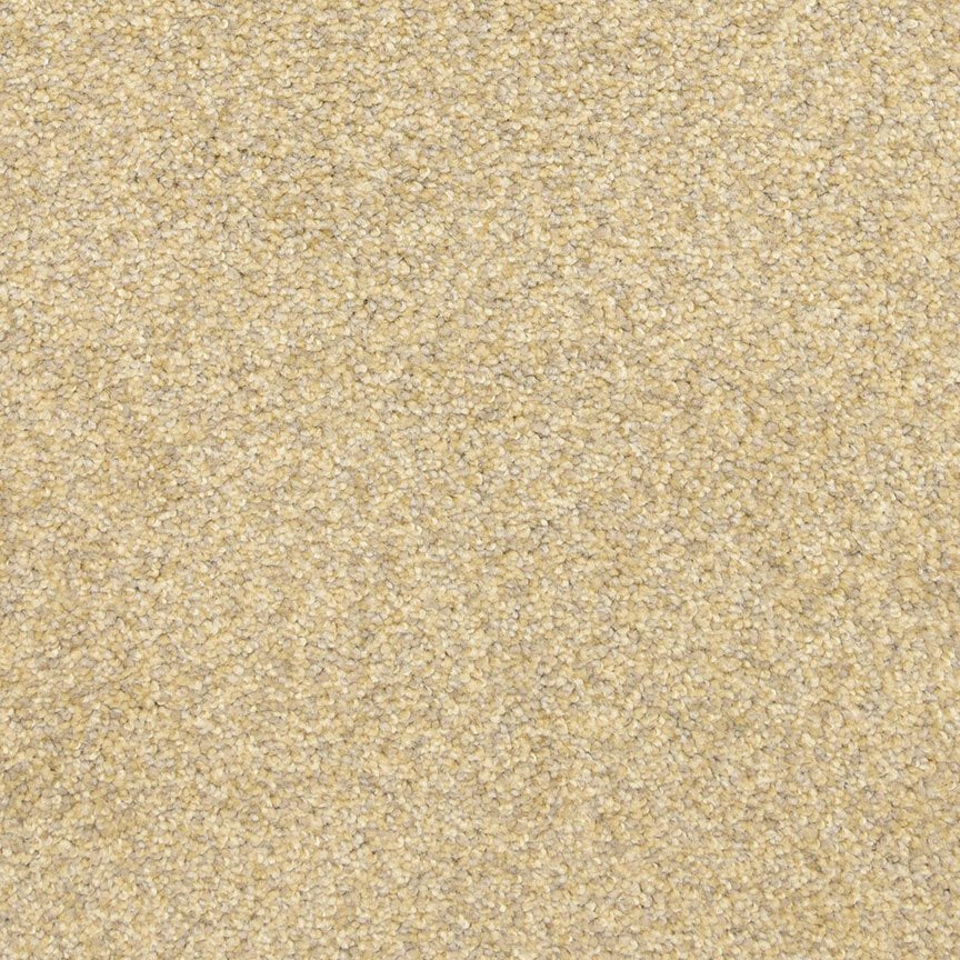 Worldwide Flooring Design Center ARRAY ARRAY Masland Floors