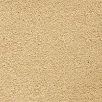 Worldwide Flooring Design Center CAPTIVATING CAPTIVATING Masland Floors