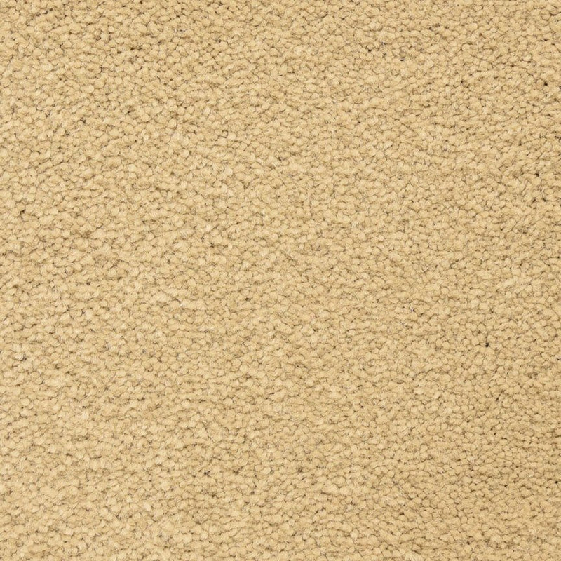 Worldwide Flooring Design Center CAPTIVATING CAPTIVATING Masland Floors