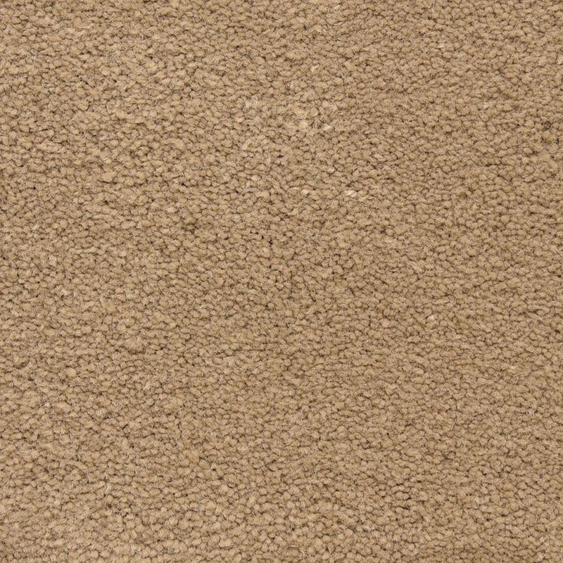 Worldwide Flooring Design Center CAPTIVATING CAPTIVATING Masland Floors