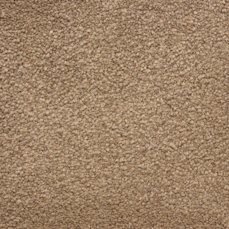 Worldwide Flooring Design Center CAPTIVATING CAPTIVATING Masland Floors