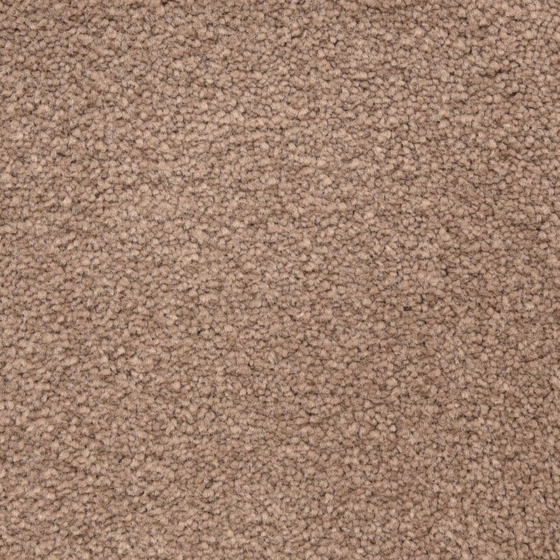 Worldwide Flooring Design Center CAPTIVATING CAPTIVATING Masland Floors