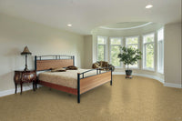 Worldwide Flooring Design Center CIVITAN CIVITAN Masland Floors