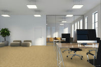 Worldwide Flooring Design Center CIVITAN CIVITAN Masland Floors