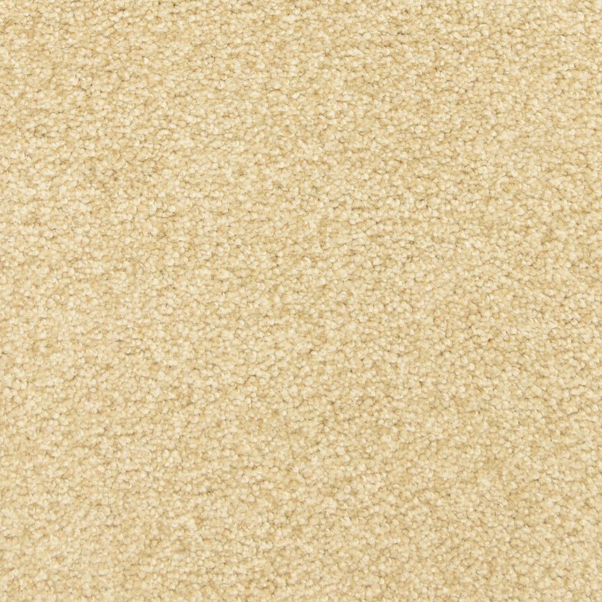 Worldwide Flooring Design Center ARRAY ARRAY Masland Floors