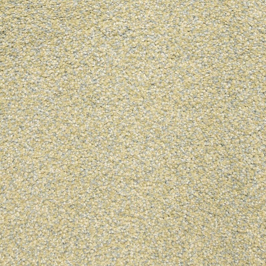 Worldwide Flooring Design Center ARRAY ARRAY Masland Floors