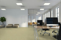 Worldwide Flooring Design Center CIVITAN CIVITAN Masland Floors