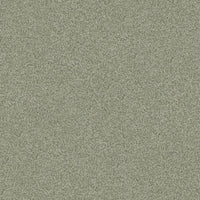 Worldwide Flooring Design Center ARGENTINA ARGENTINA Masland Floors