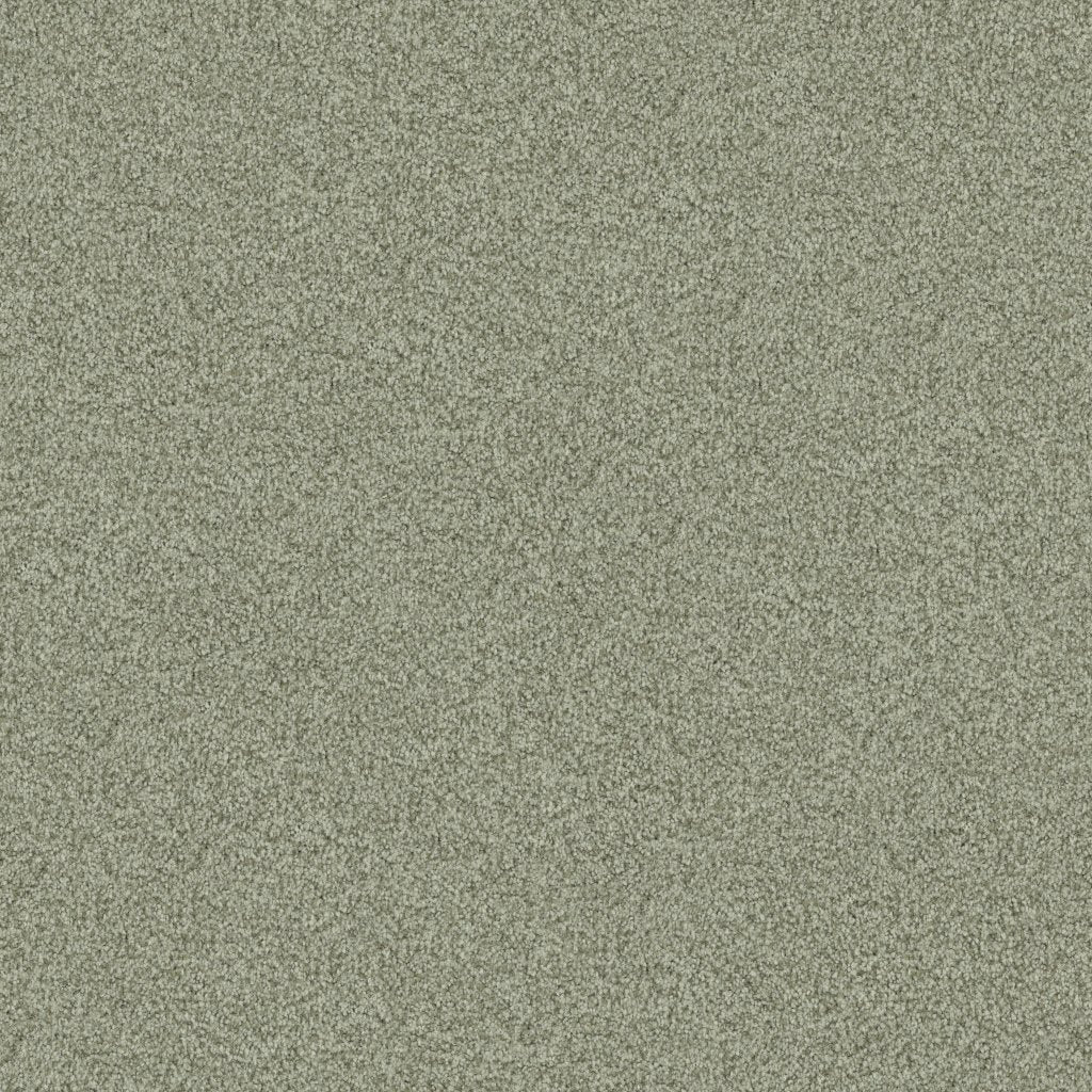 Worldwide Flooring Design Center ARGENTINA ARGENTINA Masland Floors