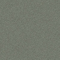 Worldwide Flooring Design Center ARGENTINA ARGENTINA Masland Floors