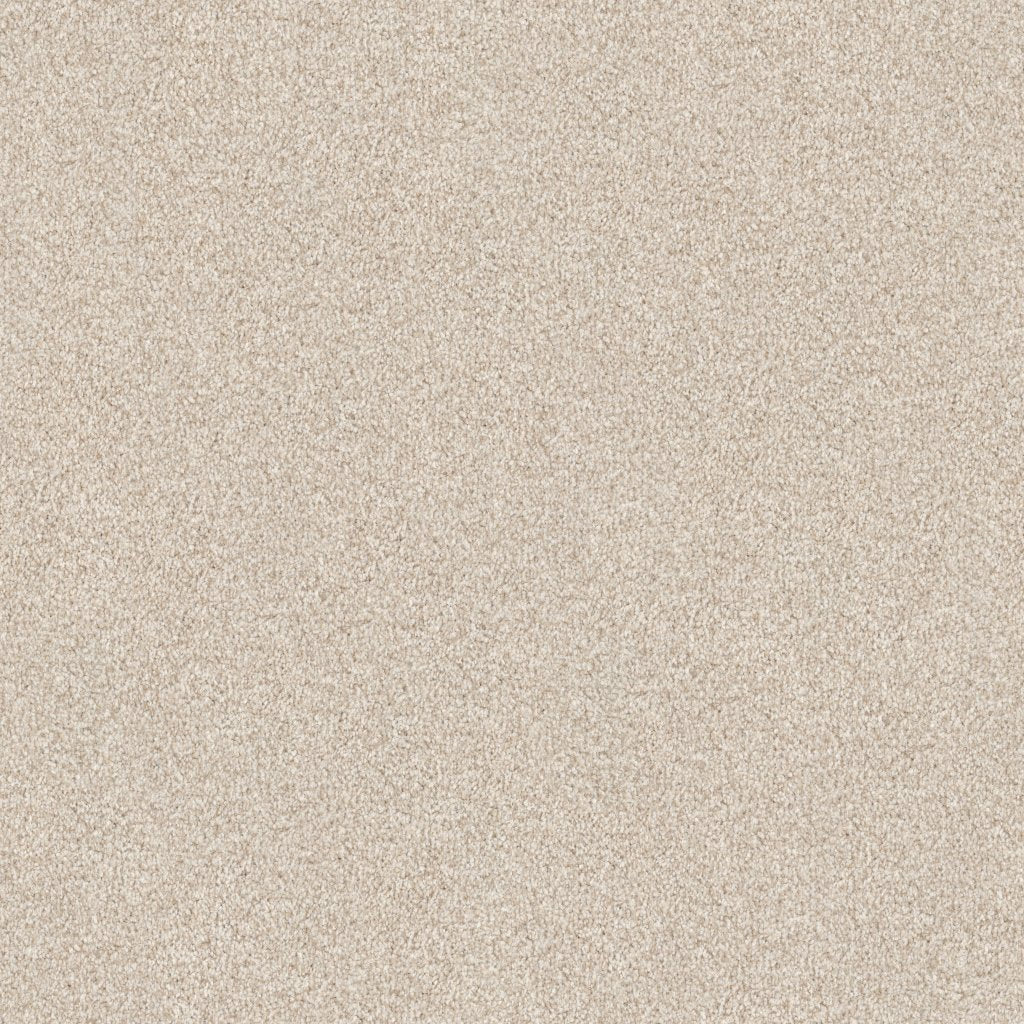 Worldwide Flooring Design Center ARGENTINA ARGENTINA Masland Floors