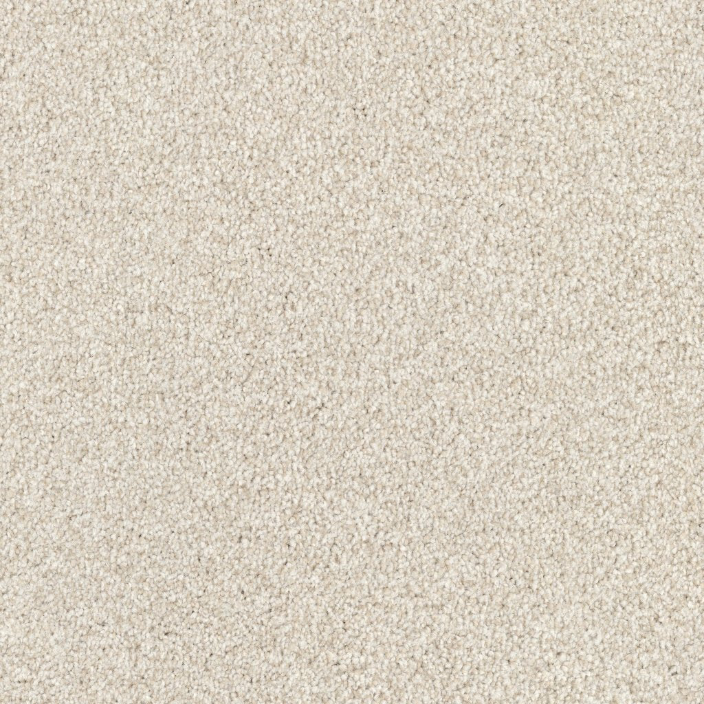 Worldwide Flooring Design Center ARGENTINA ARGENTINA Masland Floors