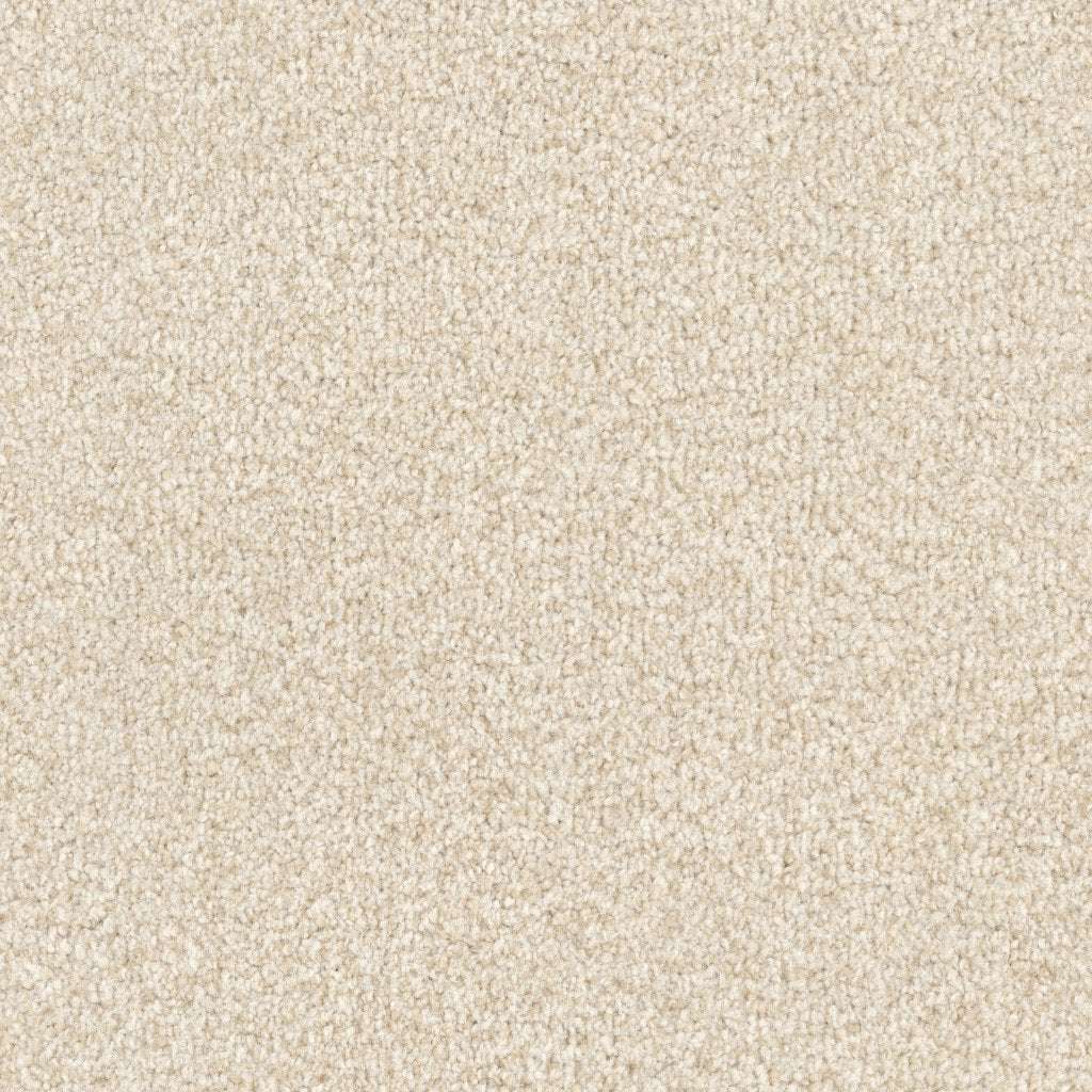 Worldwide Flooring Design Center ARGENTINA ARGENTINA Masland Floors