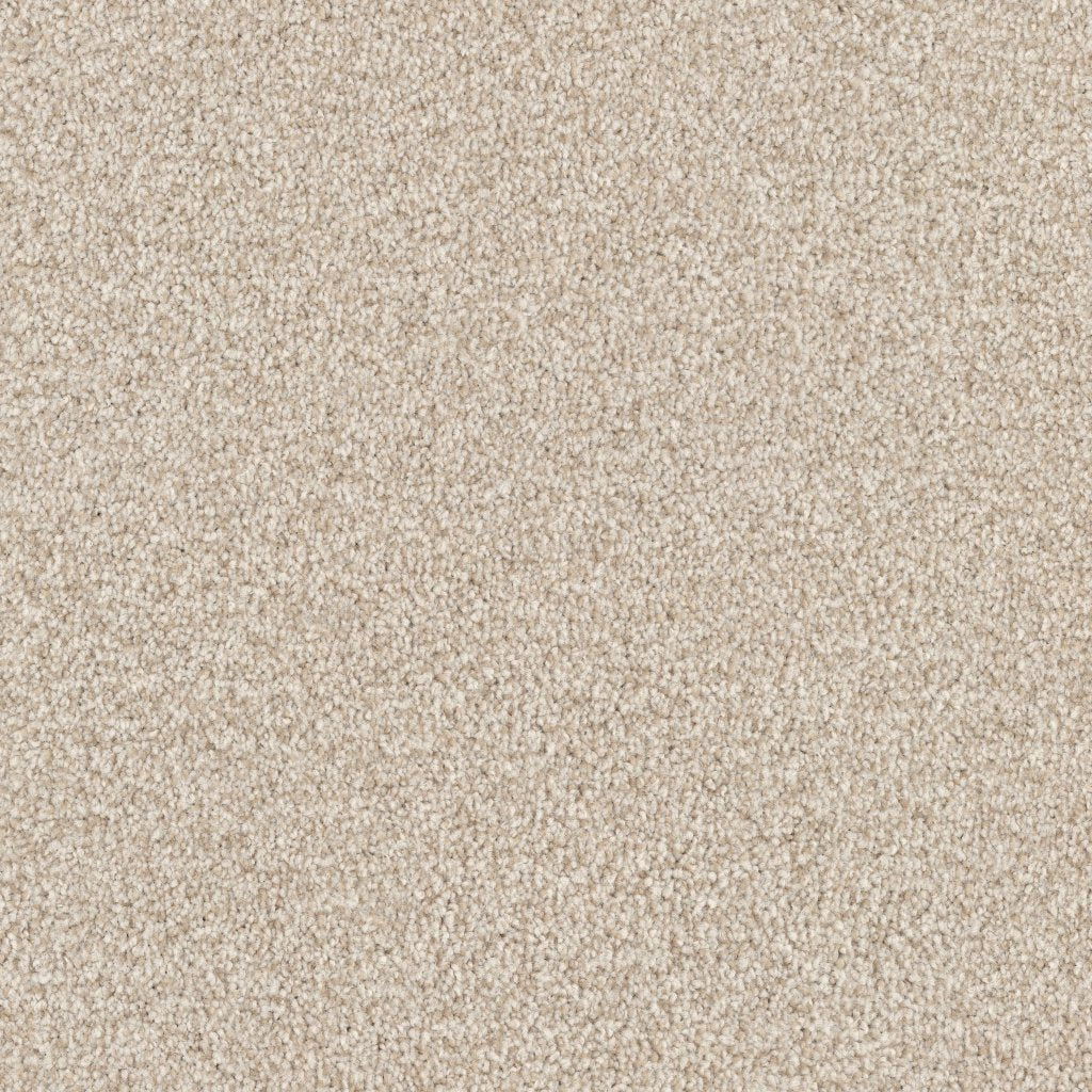 Worldwide Flooring Design Center ARGENTINA ARGENTINA Masland Floors