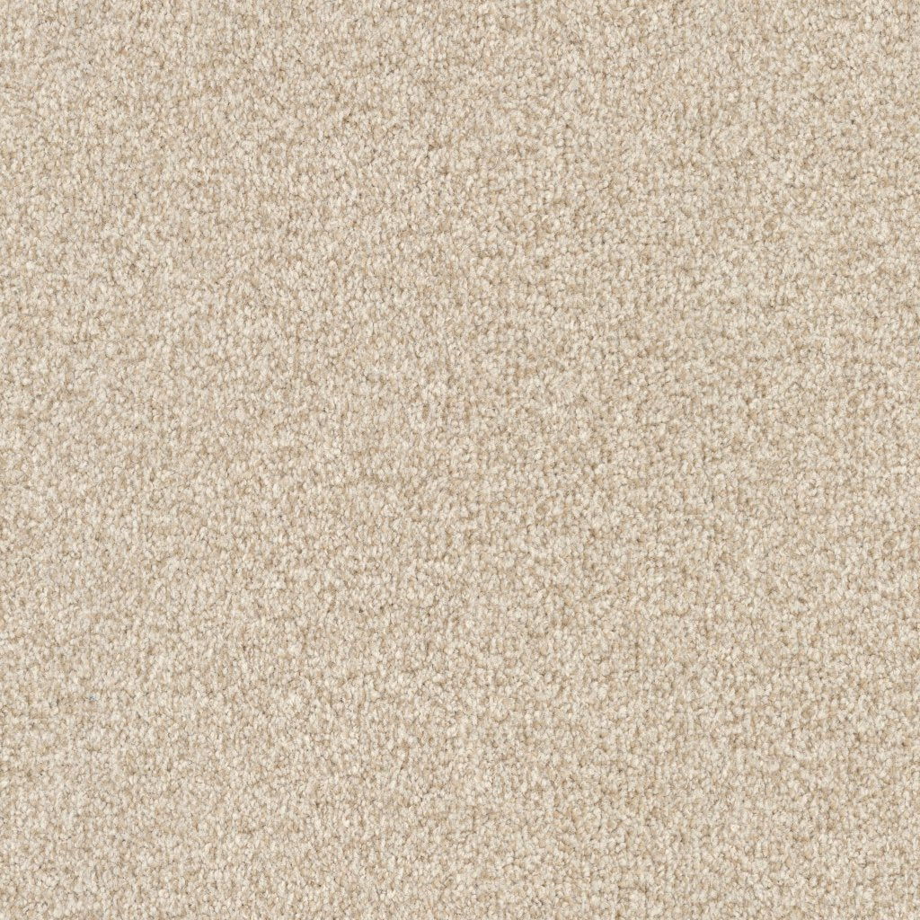 Worldwide Flooring Design Center ARGENTINA ARGENTINA Masland Floors