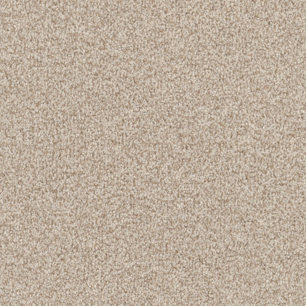 Worldwide Flooring Design Center ARGENTINA ARGENTINA Masland Floors