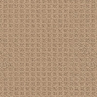 Worldwide Flooring Design Center VISTA VISTA Masland Floors