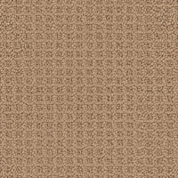 Worldwide Flooring Design Center VISTA VISTA Masland Floors