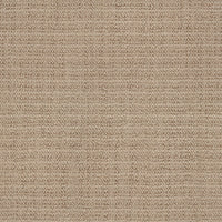 Worldwide Flooring Design Center DELECTABLE DELECTABLE Masland 