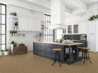 Worldwide Flooring Design Center CIVITAN CIVITAN Masland Floors