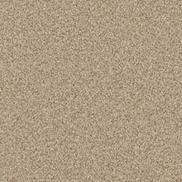 Worldwide Flooring Design Center ARGENTINA ARGENTINA Masland Floors