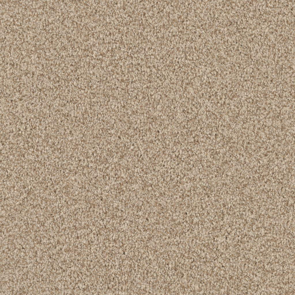 Worldwide Flooring Design Center ARGENTINA ARGENTINA Masland Floors