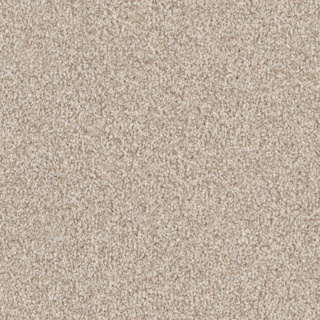 Worldwide Flooring Design Center ARGENTINA ARGENTINA Masland Floors
