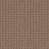 Worldwide Flooring Design Center VISTA VISTA Masland Floors