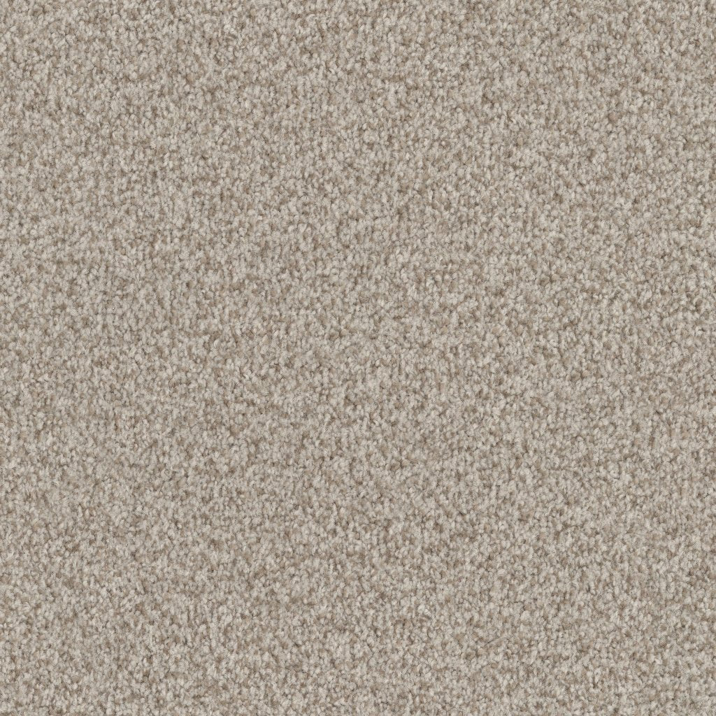 Worldwide Flooring Design Center ARGENTINA ARGENTINA Masland Floors