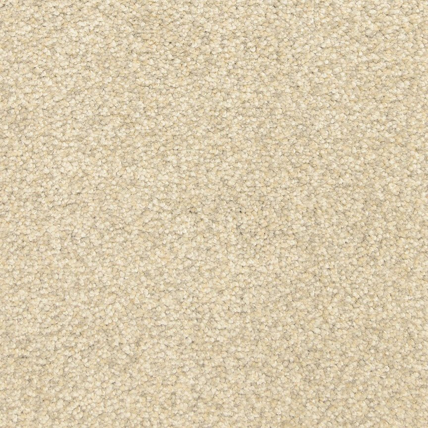 Worldwide Flooring Design Center ARRAY ARRAY Masland Floors