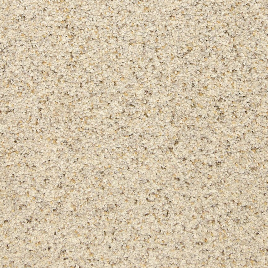 Worldwide Flooring Design Center ARRAY ARRAY Masland Floors