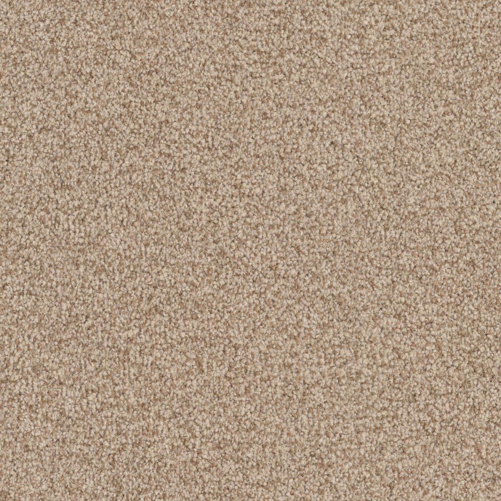 Worldwide Flooring Design Center ARGENTINA ARGENTINA Masland Floors