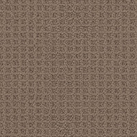 Worldwide Flooring Design Center VISTA VISTA Masland Floors