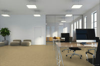 Worldwide Flooring Design Center CIVITAN CIVITAN Masland Floors