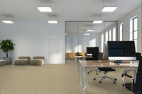 Worldwide Flooring Design Center CIVITAN CIVITAN Masland Floors